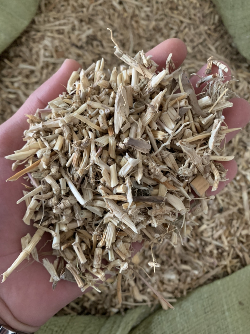 【白茅根】白茅根量大从优统物美价廉