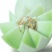 玉菇甜瓜玉菇瓜产地直发实力代办电商社区团一件代发