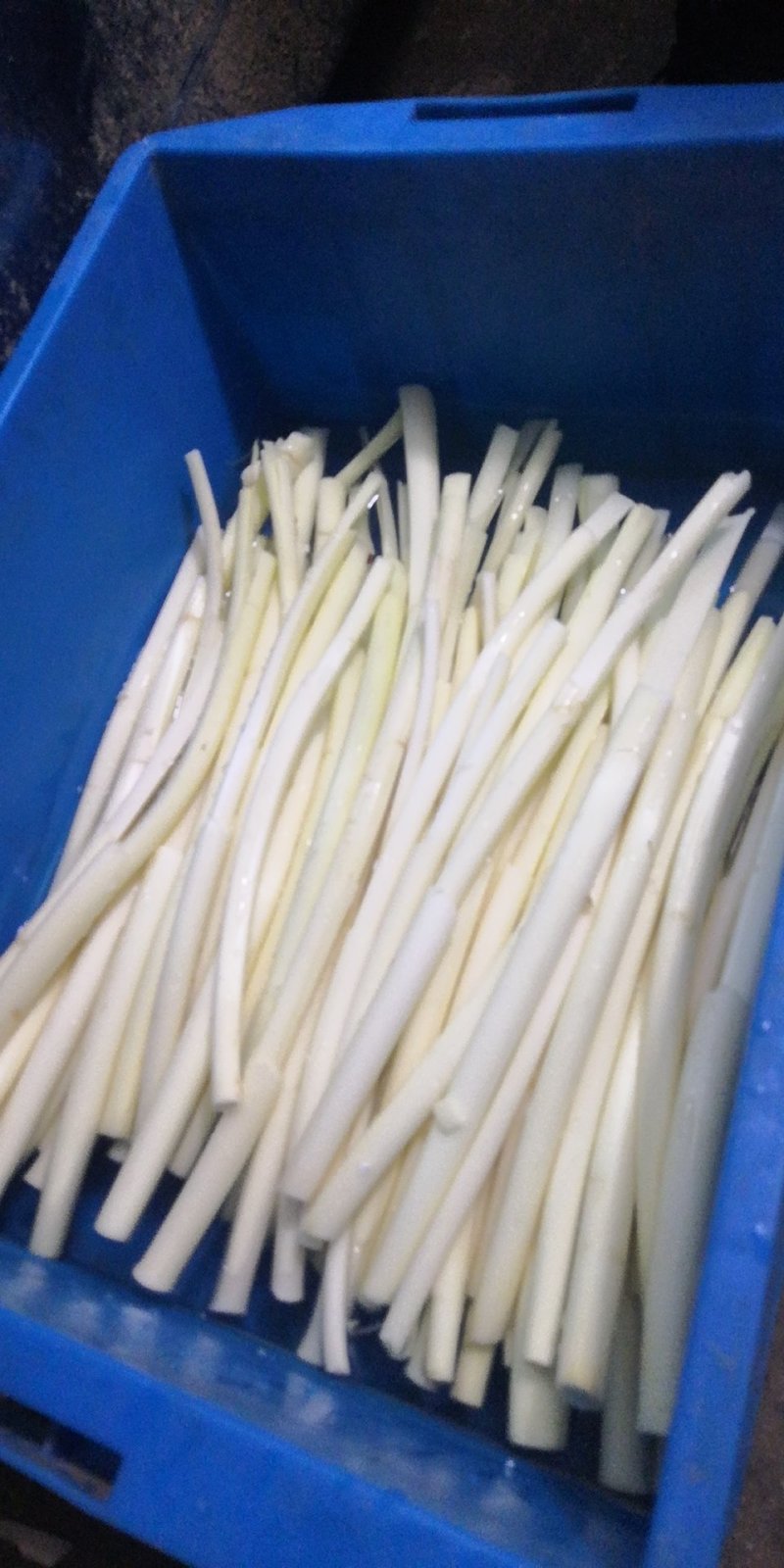 蒲菜