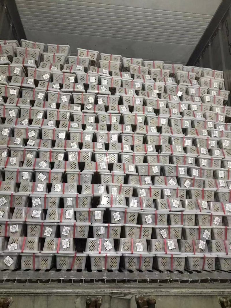 泰国龙眼，越南龙眼，精品新鲜龙眼，产地工厂直供