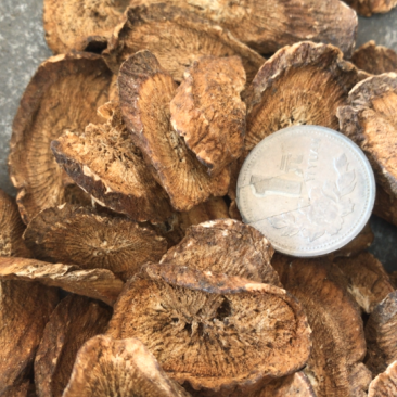 牛蒡上好货走量不走价，上好药，饮品规格多，可议价