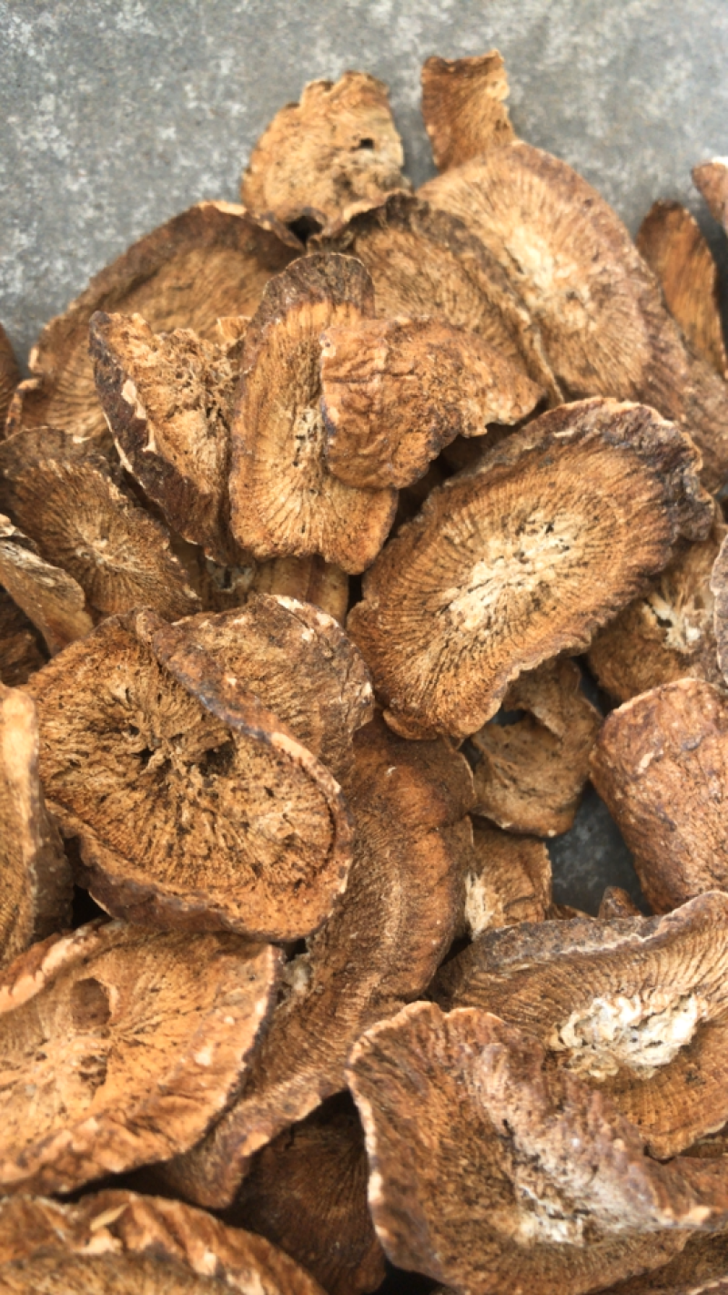 牛蒡上好货走量不走价，上好药，饮品规格多，可议价