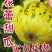 花蕾甜瓜大量供应实力代办一件代发对接电商