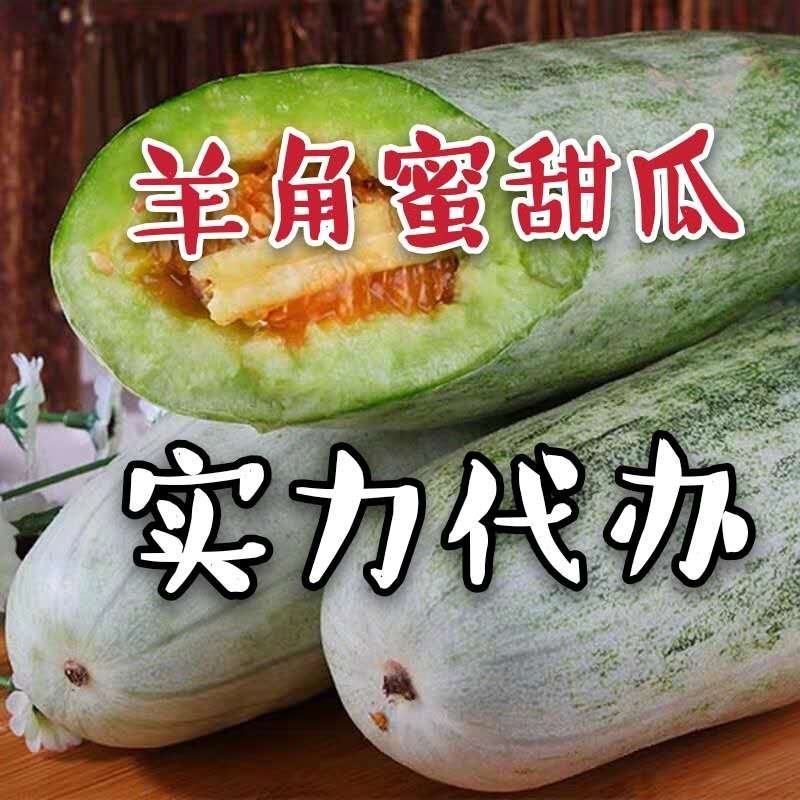 山东燕店博洋博洋甜瓜实力代办