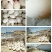 鹅蛋批发
