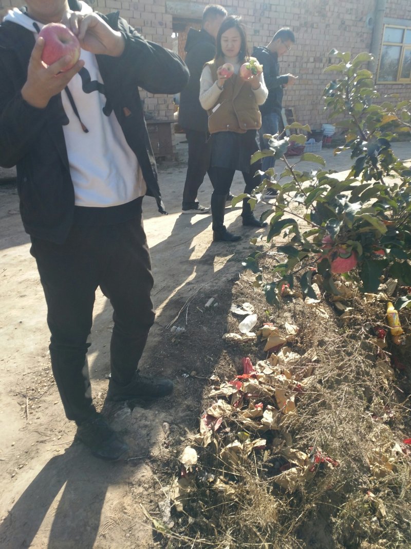 苹果