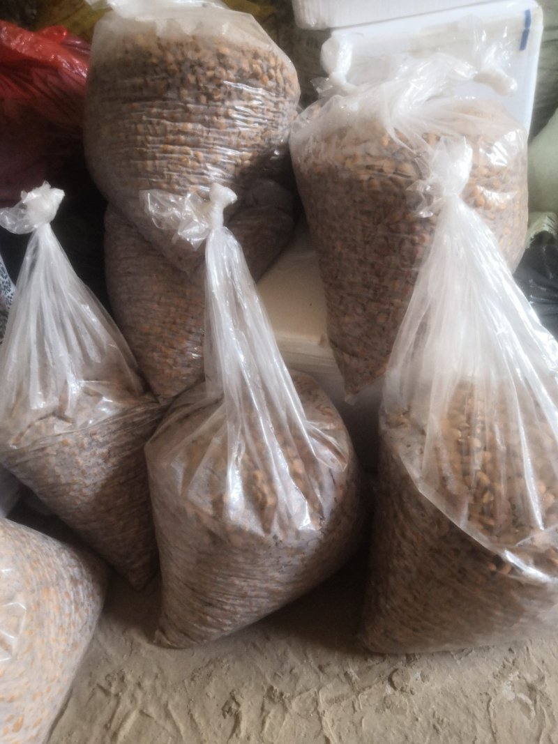 沙藏毛桃芽质量保证