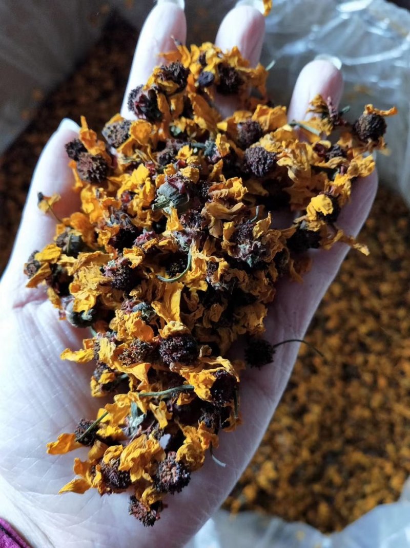 昆仑雪菊经久耐泡无添加头茬采摘花瓣肥厚完整