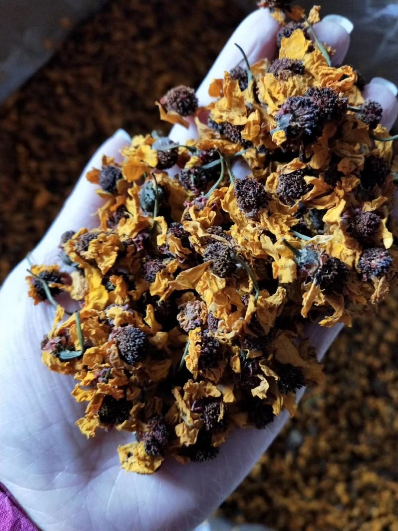 昆仑雪菊经久耐泡无添加头茬采摘花瓣肥厚完整