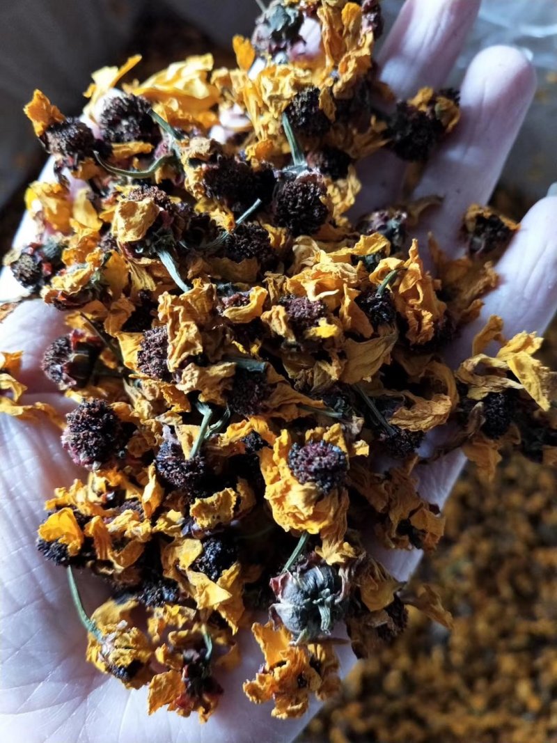 昆仑雪菊经久耐泡无添加头茬采摘花瓣肥厚完整