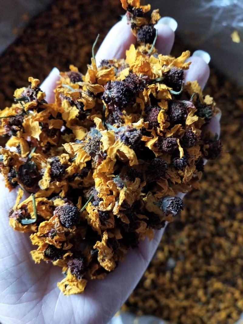 昆仑雪菊经久耐泡无添加头茬采摘花瓣肥厚完整