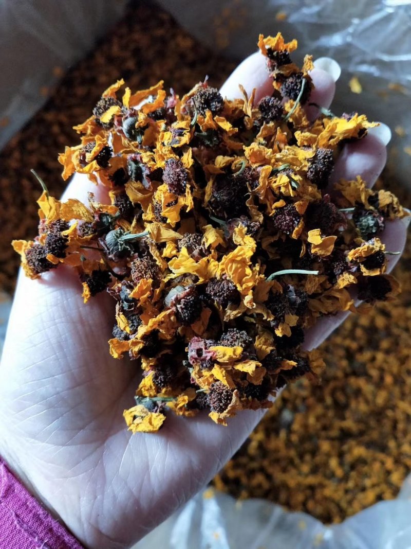 昆仑雪菊经久耐泡无添加头茬采摘花瓣肥厚完整