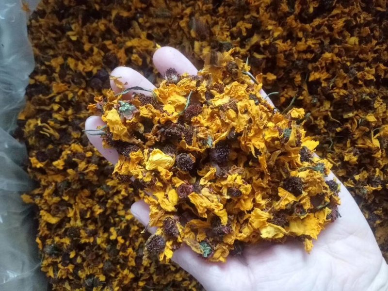 昆仑雪菊经久耐泡无添加头茬采摘花瓣肥厚完整