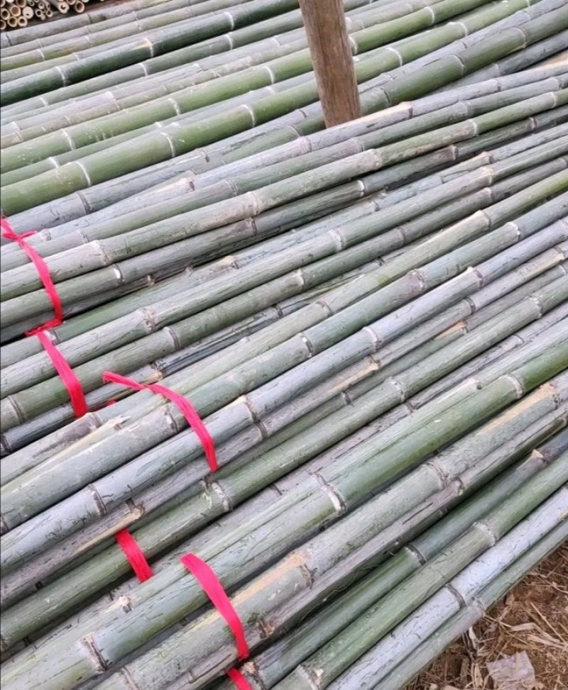 竹竿毛竹楠竹蔬菜架水果支架各种规格竹子