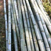 竹竿毛竹楠竹蔬菜架水果支架各种规格竹子
