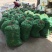 胡豆蚕豆兰花豆四川胡豆大量上市中胡豆