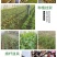 竹制品，蔬菜架，水果架，冬瓜架，豆豆架！