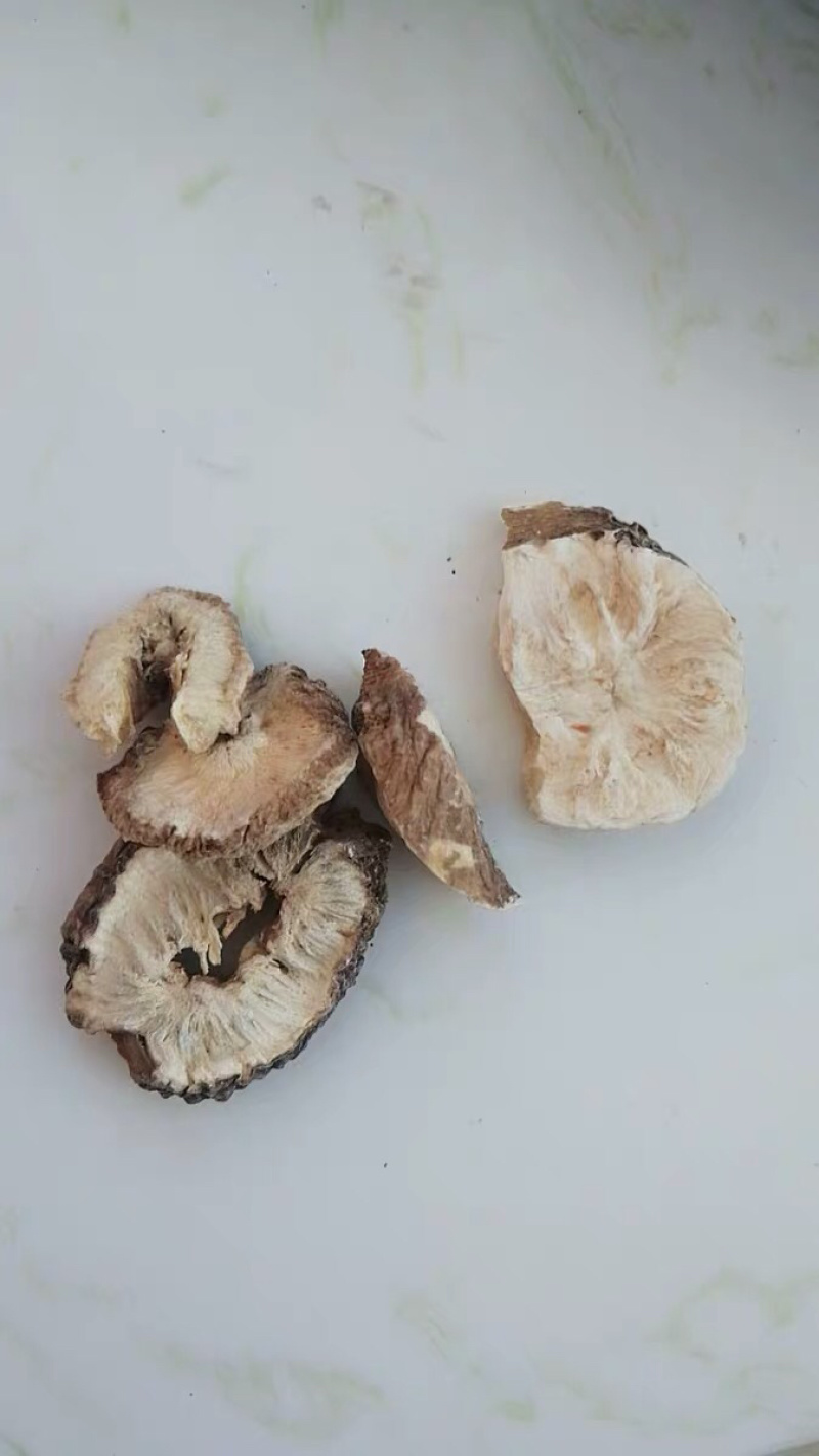 菊苣根干货玉兰根菊苣干菊苣片农家初选农副产品
