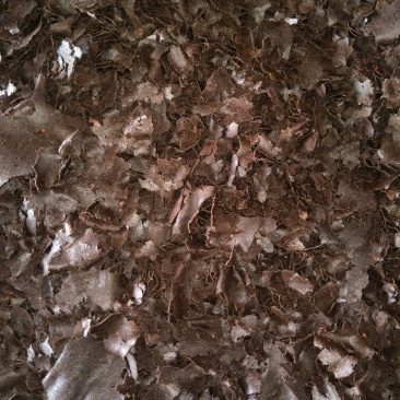 新茶麸：主清鱼塘杀螺杀菌，叶面虫地沟虫