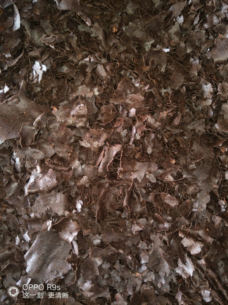 新茶麸：主清鱼塘杀螺杀菌，叶面虫地沟虫