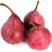 梨树苗，早酥红梨红啤梨，，香酥梨，南北方种植
