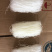 山东粉丝龙口粉丝花甲粉专用龙口粉丝运费可商议