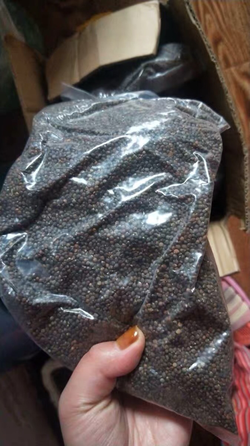紫苏子苏子农家自种中药材农家初选农副产品