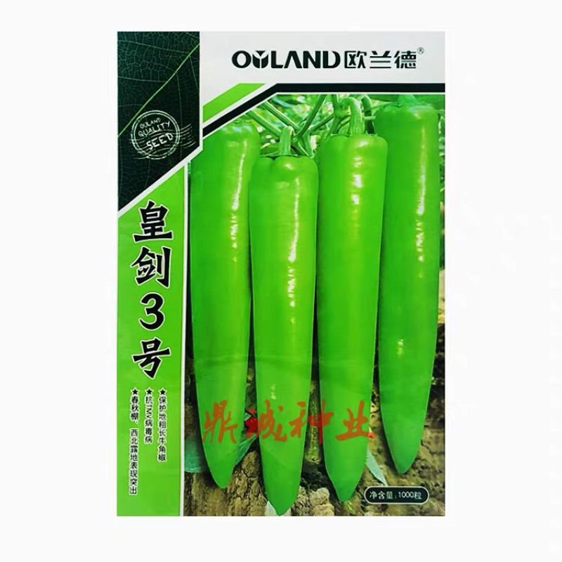 欧兰德皇剑3号辣椒黄皮椒抗ty病毒粗牛角椒