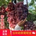 正宗无籽红提苗，当年结果，美国红提葡萄苗，四季种植