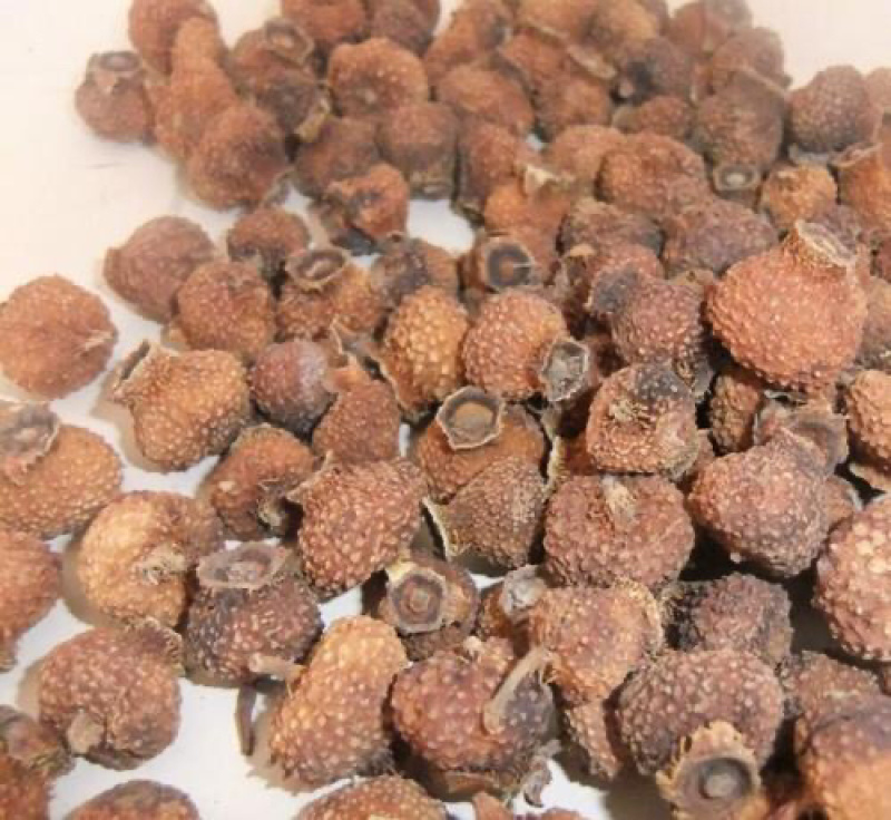 药用刺梨刺梨干农家干货2农家初选农副产品