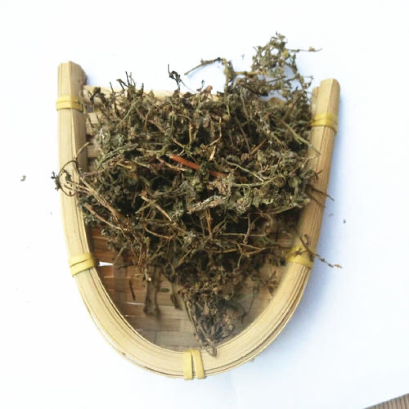 鹅不食草正品鹅不食草粉段饿不吃草中药材农家初选