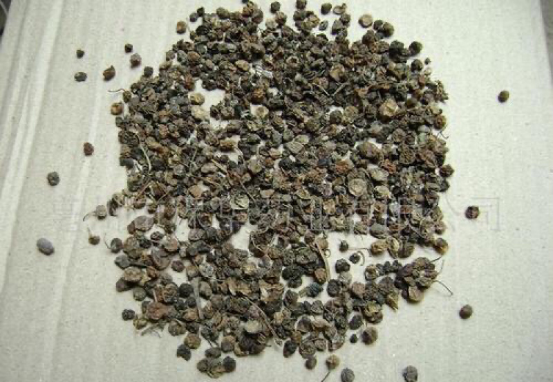 龙葵子葵籽龙葵果野葡萄天茄子黒天天中药材