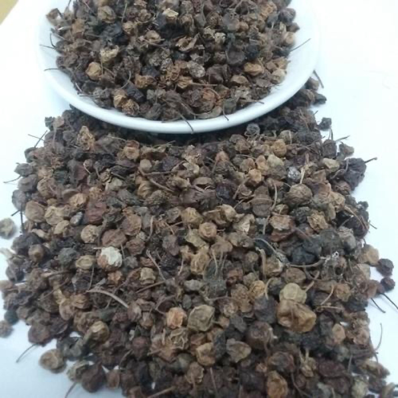 龙葵子葵籽龙葵果野葡萄天茄子黒天天中药材