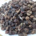龙葵子葵籽龙葵果野葡萄天茄子黒天天中药材