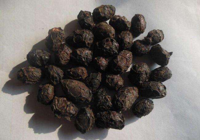 广枣广枣干泡茶广枣干货农家特产农家初选农副产品
