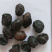 广枣广枣干泡茶广枣干货农家特产农家初选农副产品