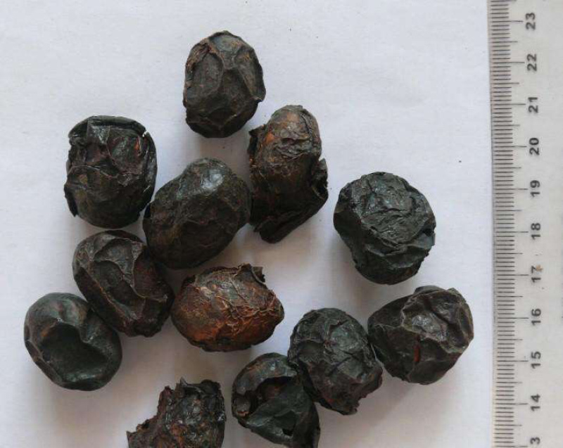 广枣广枣干泡茶广枣干货农家特产农家初选农副产品