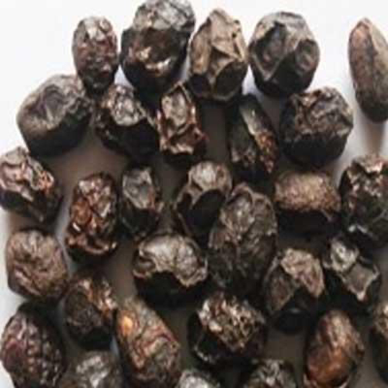 广枣广枣干泡茶广枣干货农家特产农家初选农副产品