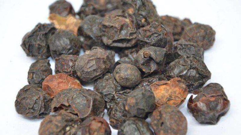 广枣广枣干泡茶广枣干货农家特产农家初选农副产品
