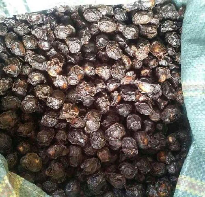 广枣广枣干泡茶广枣干货农家特产农家初选农副产品