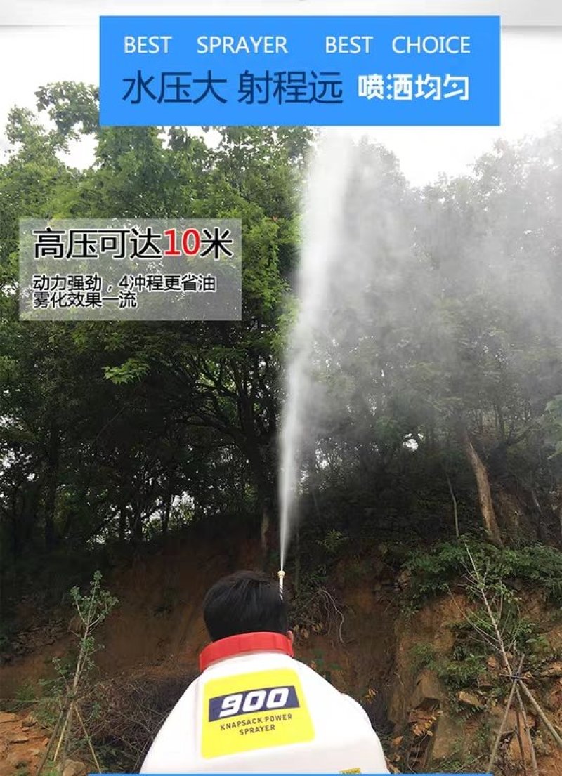 喷雾器机动喷雾器打药机