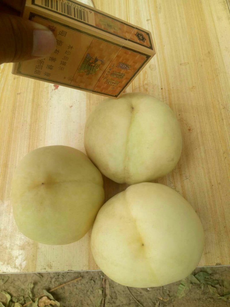 毛桃大量上市。供应超市，走市场加工厂。电商。