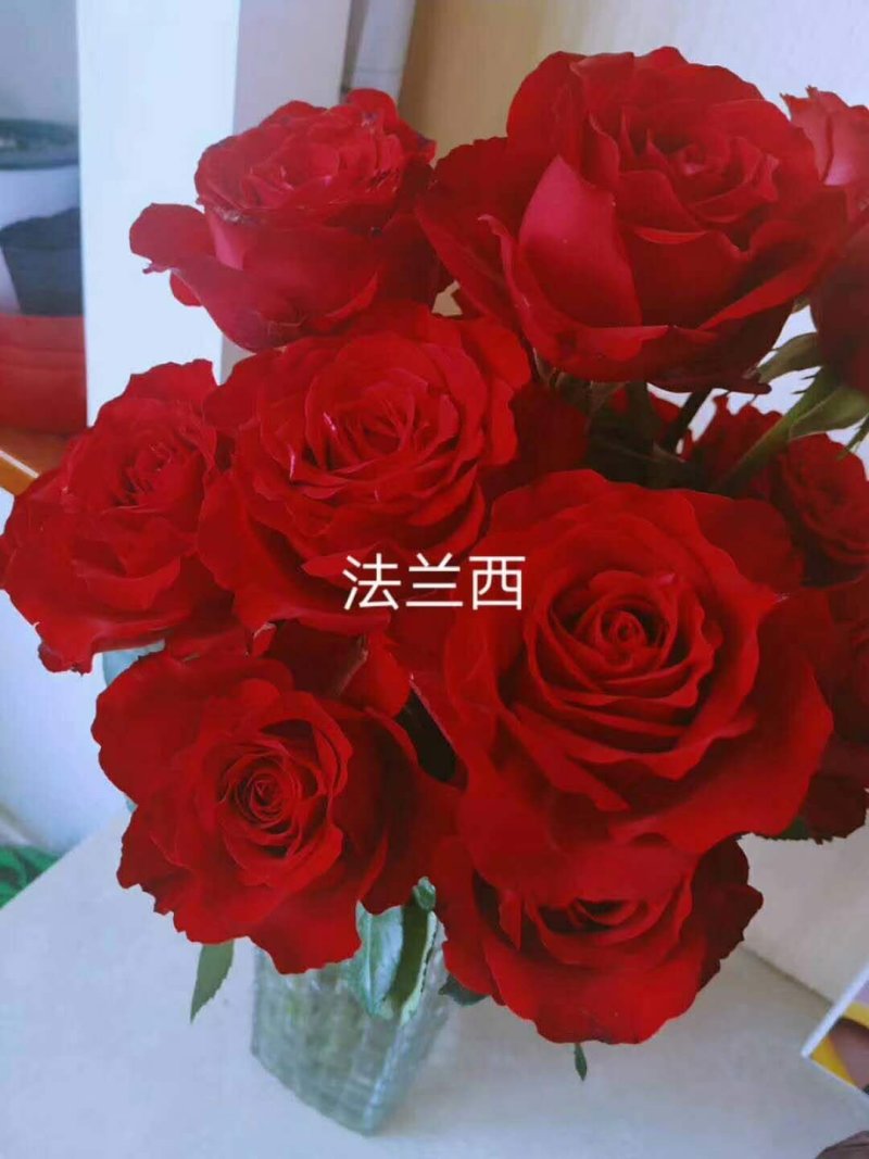 山东莒县万亩鲜切花基地。