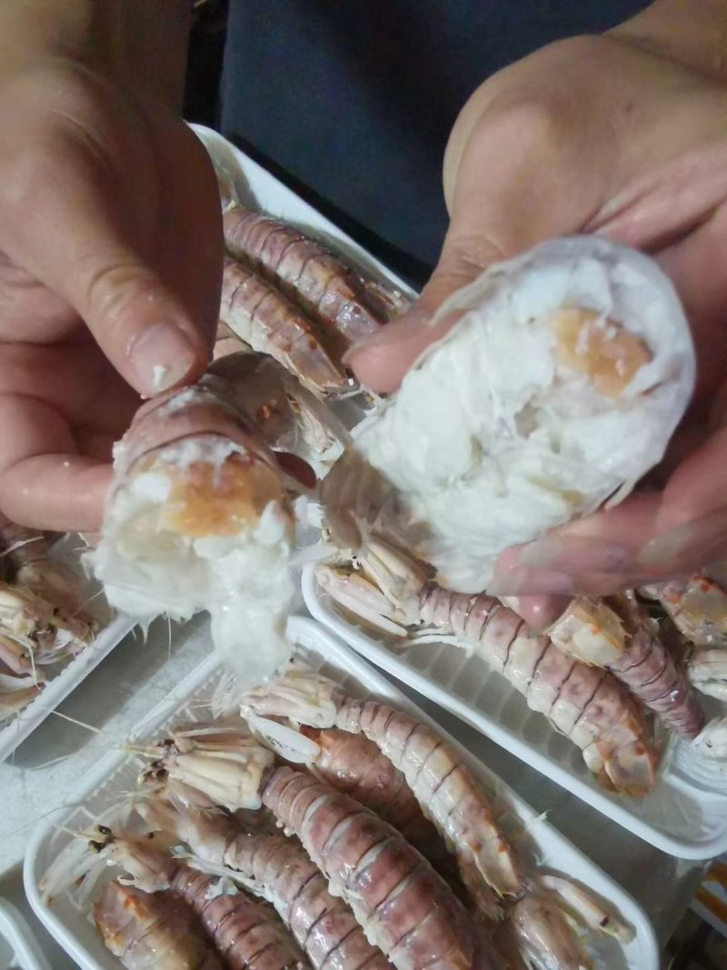 皮皮虾