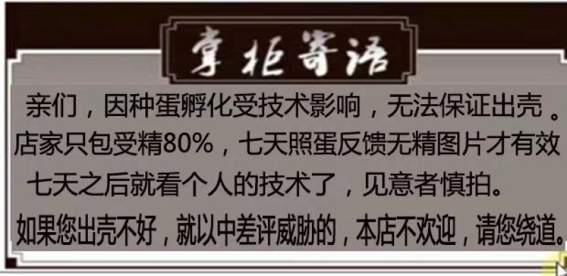 可孵化蛋土鸡种蛋受精蛋五黑一绿鸡种蛋孵化20枚包邮黑凤乌