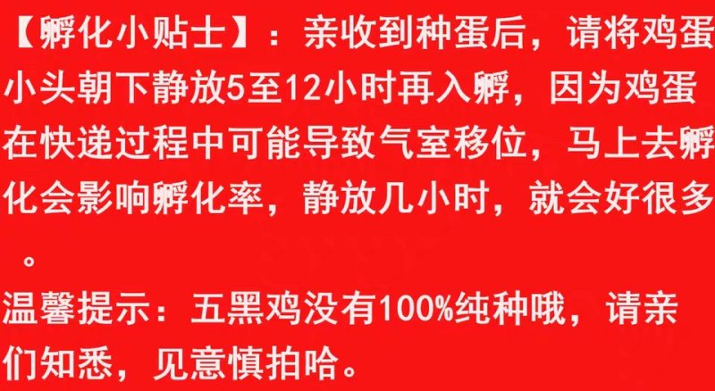 可孵化蛋土鸡种蛋受精蛋五黑一绿鸡种蛋孵化20枚包邮黑凤乌