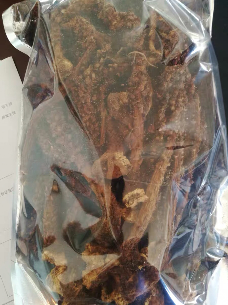 草苁蓉不老草大兴安岭农家初选农副土特产品