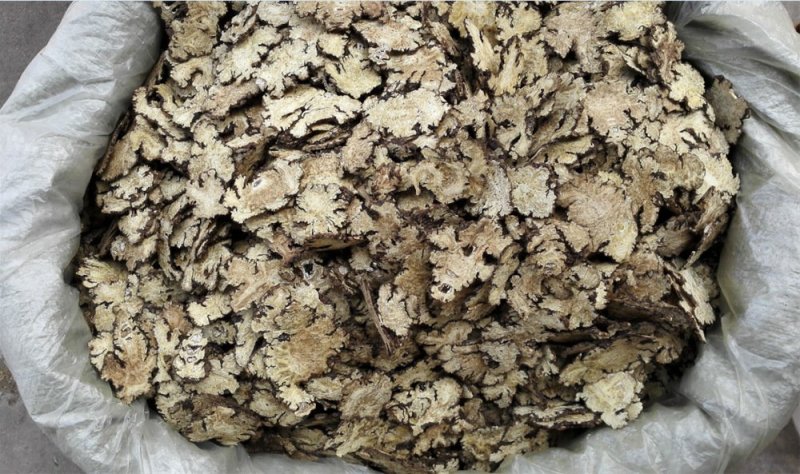 川芎四川无硫炕货厚片薄片供应上千种中药材