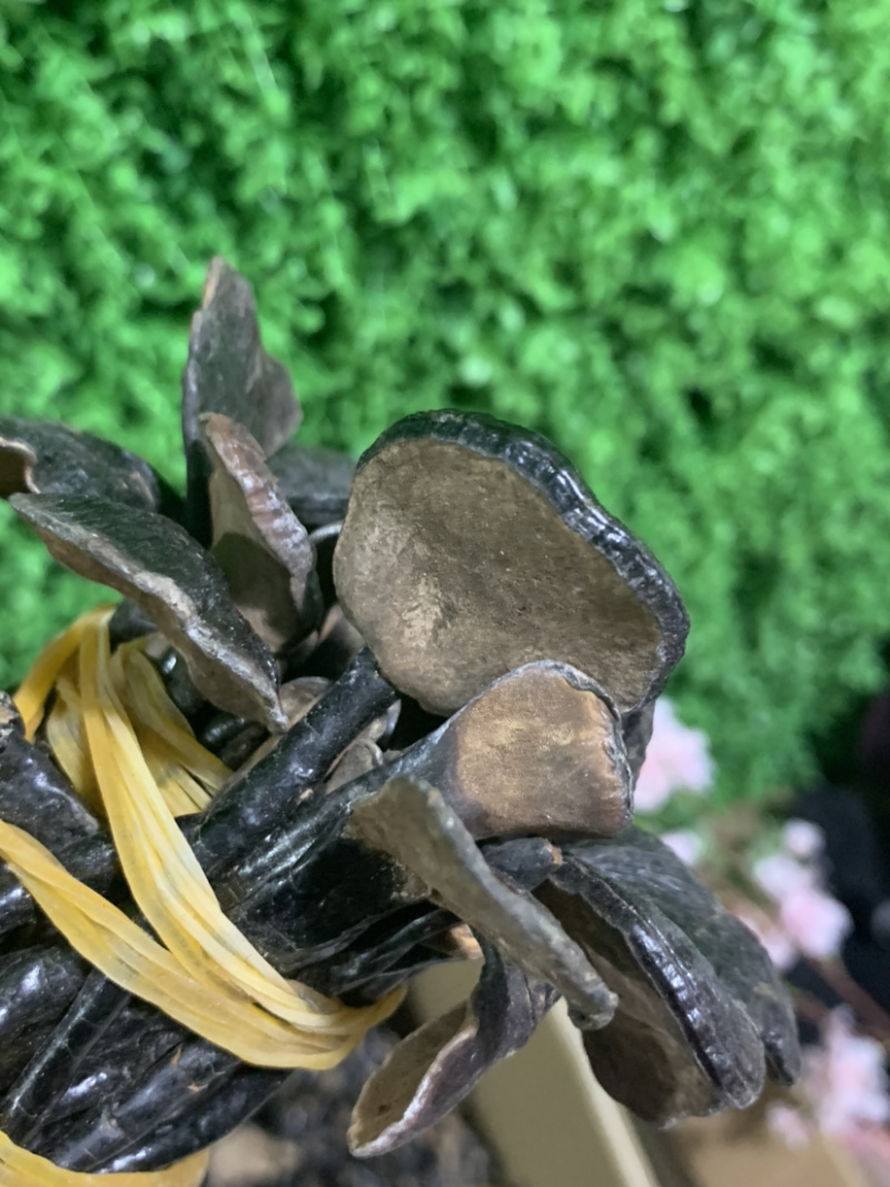 统货竹灵芝淘货源微商电商实体专业保密一件代发