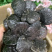 统货竹灵芝淘货源微商电商实体专业保密一件代发